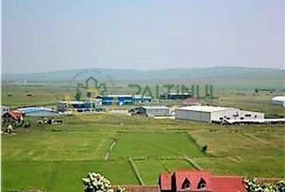 Teren de vanzare 13 euro mp,  6.000 mp - Parcul Industrial Sura Mica Sibiu - 2