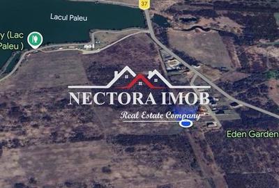 Spațiu comercial, în Paleu - 4