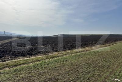Teren de 15000 mp, în Sântuhalm - 1