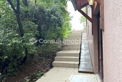 Casa Individuala | Grigorescu - 17