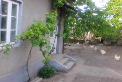 Casă cu 4 camere în Macea - 2