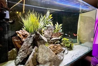 Vand apartament 3 camere nou, cu priveliște superbă, Novum Lacul Morii - 4