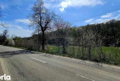 Teren de 10000 mp, în Vânători-Neamț - 9