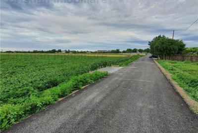 Teren intravilan de 8881 mp, în Cazasu - 2