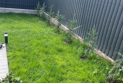Casă individuală cu 4 camere cu Teren 350 Mp în Rediu - 10