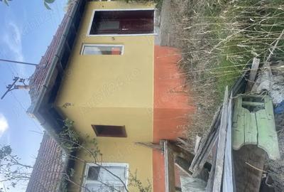 Casa de vinzare la tara - 2