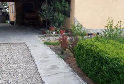 Casă cu 3 camere cu Teren 23000 Mp în Moftin - 7