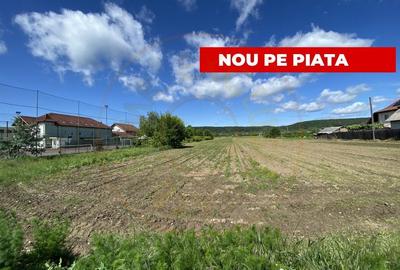 Teren intravilan 7.295 mp – Argeselu, Maracineni, AG - 1