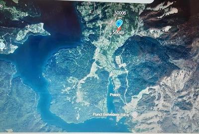 Teren de 5000 mp, în Potoci - 1