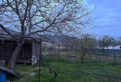 Casa 4 camere - Comuna Greci - TULCEA - 85.000 euro (Cod E9) - 6