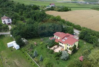 Casa cu teren 4800 mp si multiple posibilitati in Tureni - 22