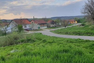 Casă cu Teren 2000 Mp în Valea Mare - 8