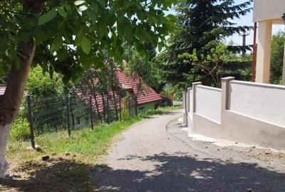 Zona Grivitei, casa - 1