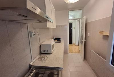 Garsoniera  eleganta renovata integral la prima inchiriere in zona Tineretului - 7