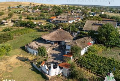 Spațiu comercial, de 270 mp, în Sarichioi - 12