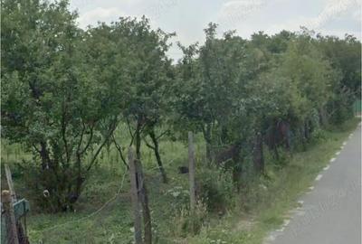 Teren de 718 mp, în Bădeana - 3