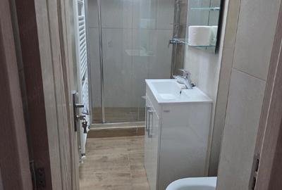 Apartament cu 2 camere nedecomandat în Central - 8