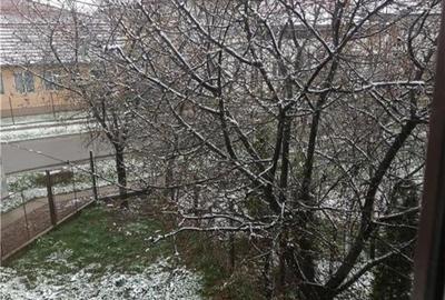 Casă cu 5 camere în Biharia - 8