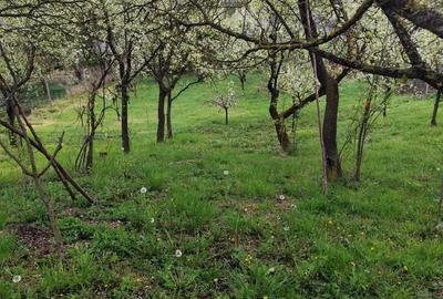 Teren de 1079 mp, în Săndulești - 6