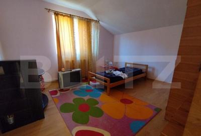 Casa individuala 4 camere plus casa de oaspeti, Drajna - 2