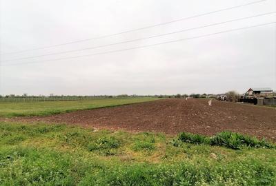 Teren intravilan Caracal / Str. Salcamului, 3.585 mp, 9 EUR / mp, comision 0% - 4