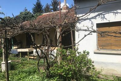 Teren de 719 mp, în Fratelia - 3