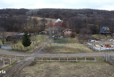 Spațiu comercial, în Tăuți - 8