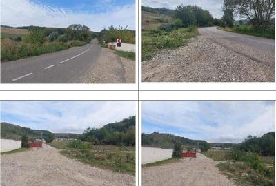 Teren Filipeni, Padure, ID: R2388722 - 6