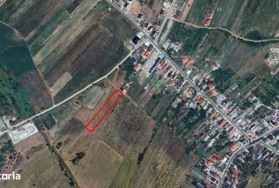 Teren de 3000 mp, în Aninoasa