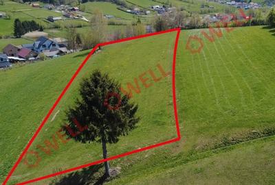 Teren extravilan de 8157 mp, în Sita Buzăului - 2