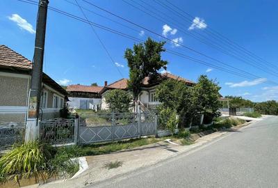Casa Mihaesti 5 camere | 700MP Teren - 2