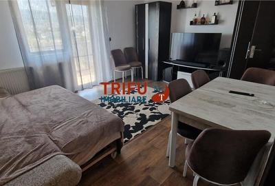 Apartament în Dealul Furcilor de închiriatriat - 2