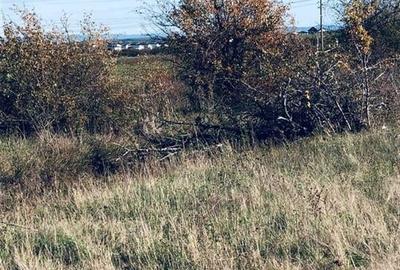 RECO Teren intravilan Cihei - 3