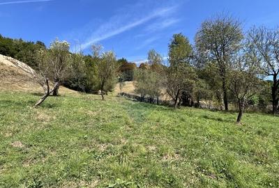 Teren Construcții intravilan de 2000 mp, în Răchițele - 1