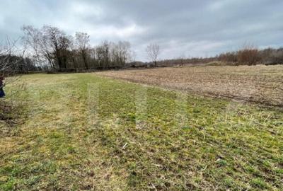 Teren de 5775 mp, în Central