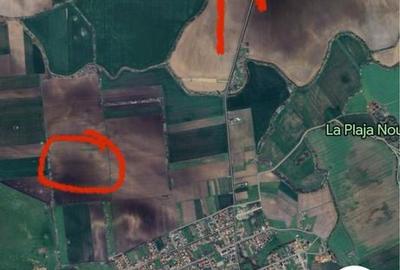 Teren de 5800 mp, în Sânmihaiu Român - 1