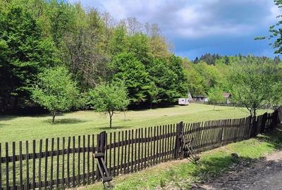 Spațiu comercial, în Clit - 6