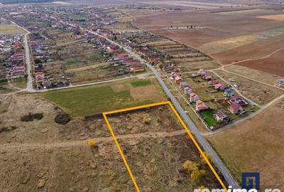 Teren de 19000 mp, în Pișchia - 7