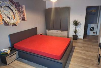 Colentina, Doamna Ghica vav Parc Plumbuita - 2