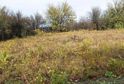 Vand casa cu curte si gradina foarte mare in Padina Mica, Mehedinti - 10