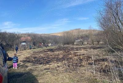 Teren de 5400 mp, în Cămărașu - 3
