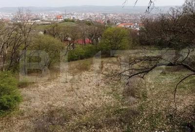 Teren de 10046 mp, în Cetate - 3