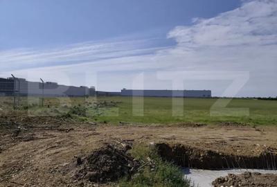 Teren de 10000 mp, în Nufărul - 3