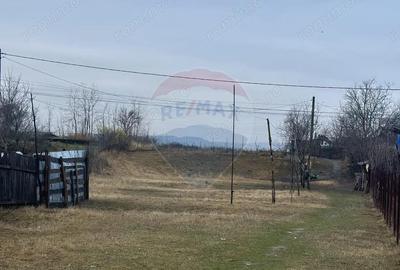 Teren 7,200mp Bodestii de Jos / Strada Bodesti - 1