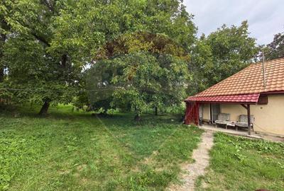 Casa traditionala De Vanzare cu 5 Hectare de teren - 4