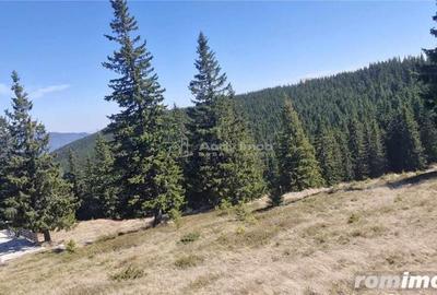 Casă cu 12 camere cu Teren 1000 Mp în Români - 8