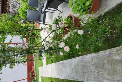 Casă cu 4 camere în Central - 2