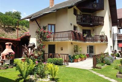 FILM!  Moieciu de Jos, Bran, pensiune in conditii apreciabile - 11