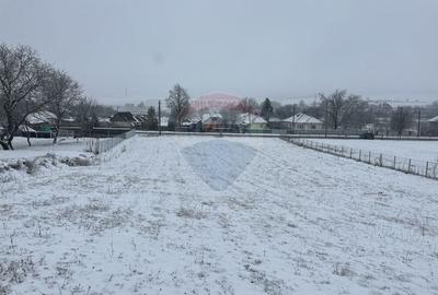 Teren Construcții intravilan de 8300 mp, în Negrești (Dobreni) - 3