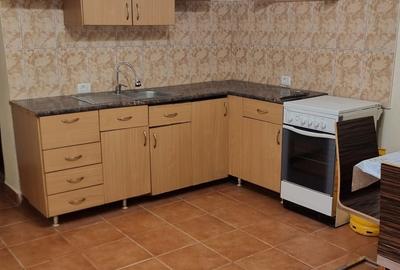 Casă cu 2 camere în Miniș - 5